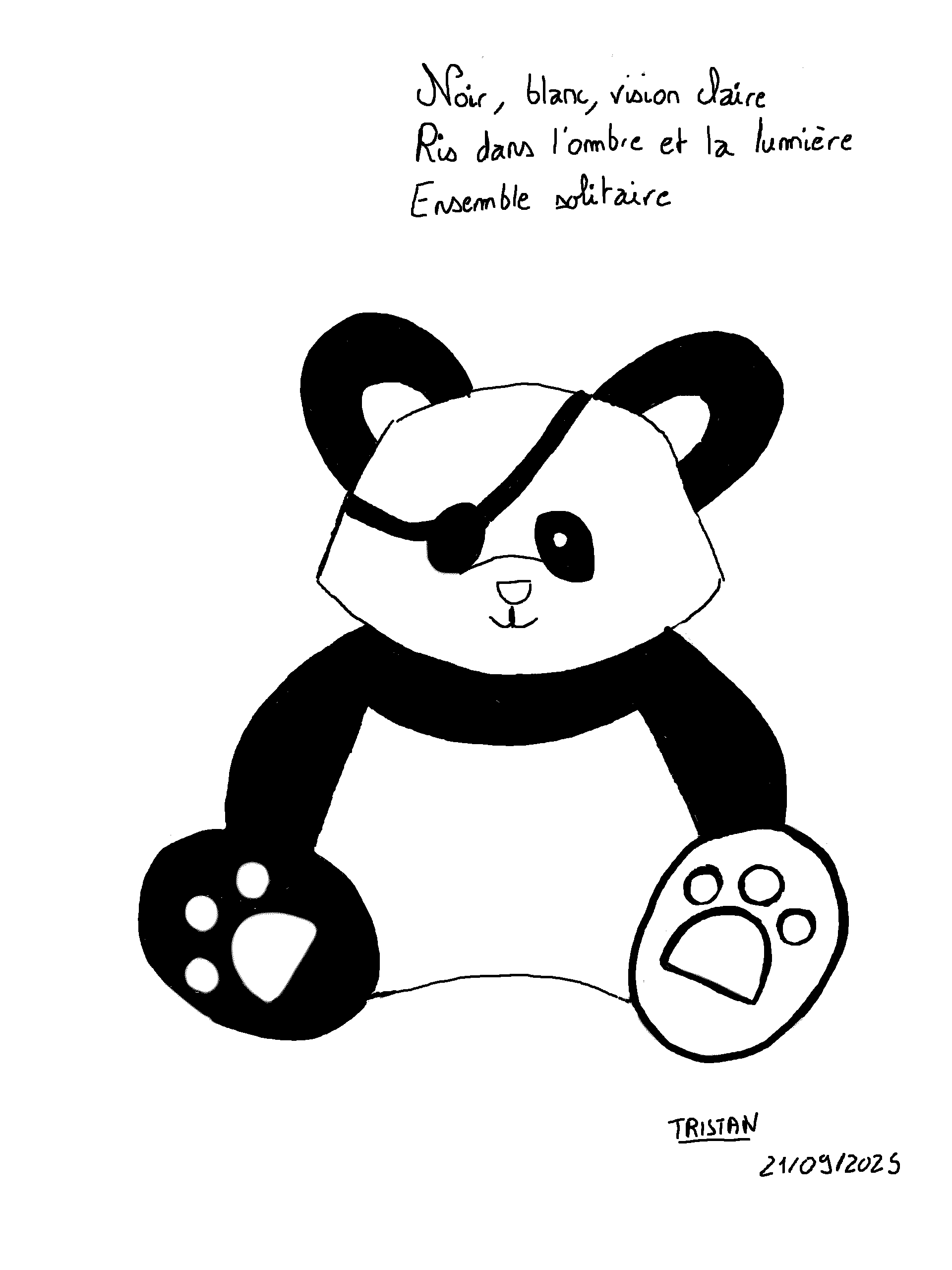 Panda pirate — contraste noir et blanc